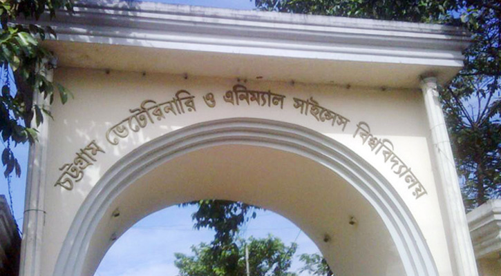 ভেটেরিনারি ও এনিম্যাল সাইন্সেস বিশ্ববিদ্যালয়ে চাকরি